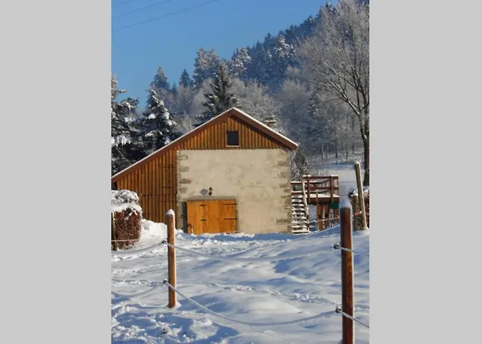 Annexe De Ferme Cosy A 15 Min De Gerardmer,ventron Et La Bresse 木屋 蒂福斯